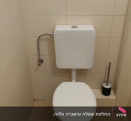 אסלה עם מיכל הדחה ומברשת ניקוי